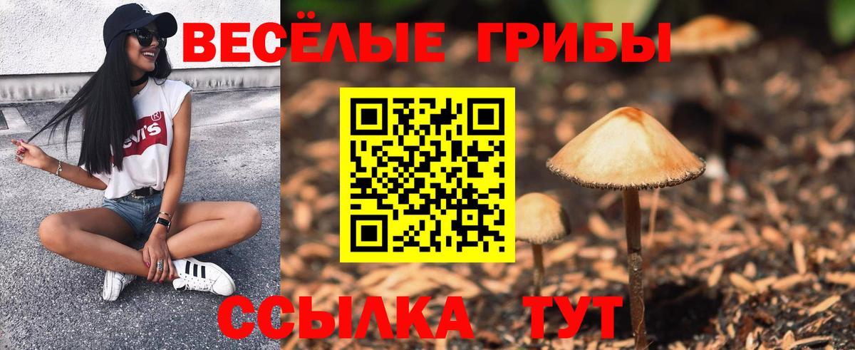 Псилоцибиновые грибы Cubensis Сочи