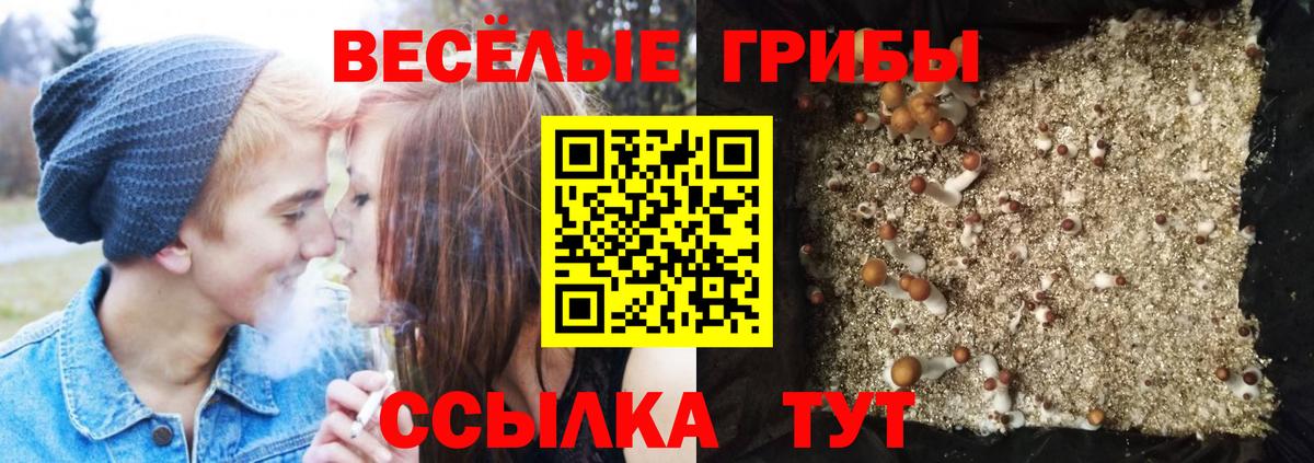Сочи  Галлюциногенные грибы GOLDEN TEACHER  Вход с VPN 